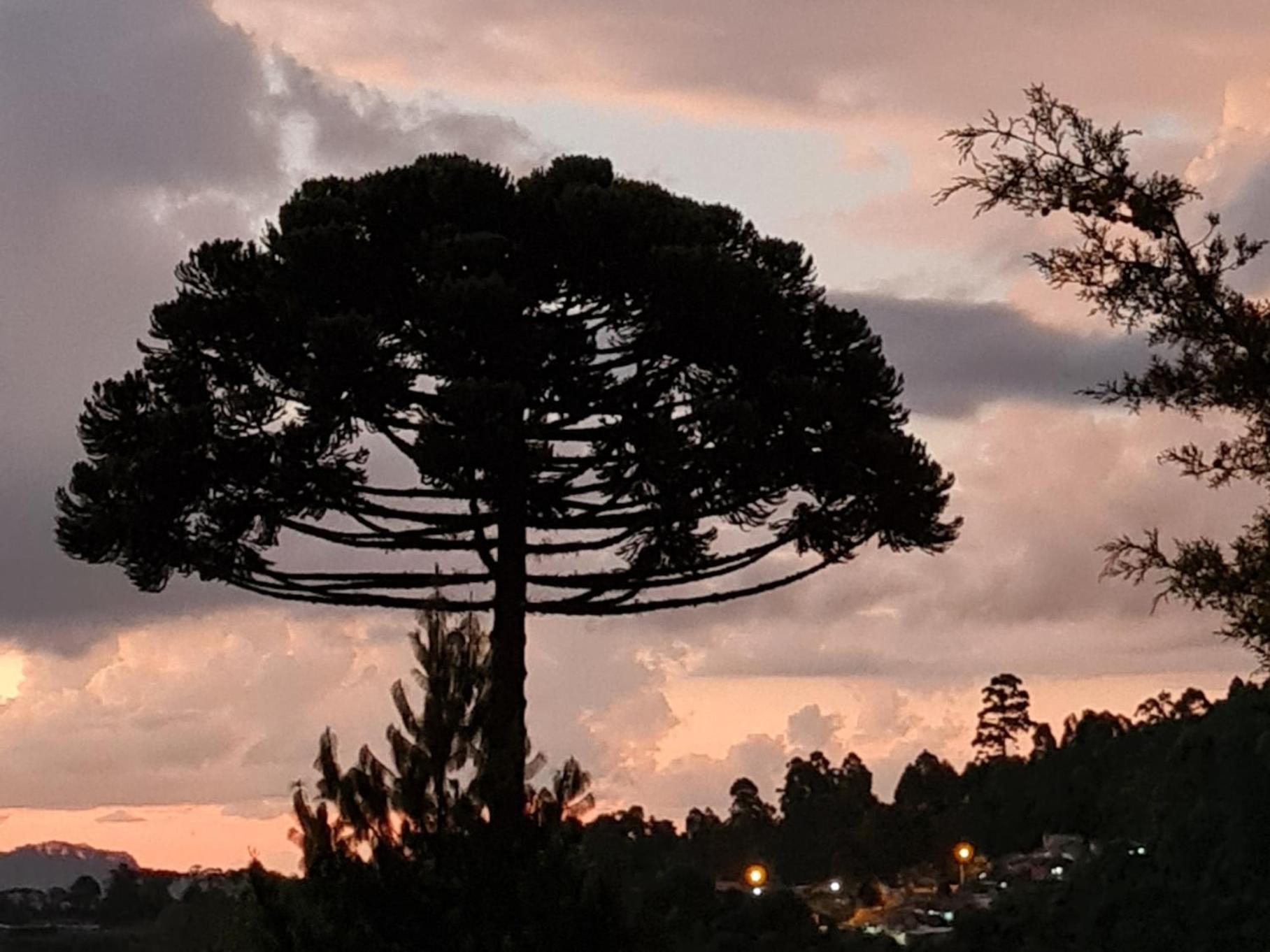 Chales Vila Do Moinho Monte Verde  Ruang foto